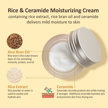 The Face Shop Rice & Ceramide Moisturizing Cream with Rice Extracts for Skin Brightening | Ceramide Moisturizer For Skin Barrier Repair | Paraben & Paraffins Free, Korean skin care products, 50ml
